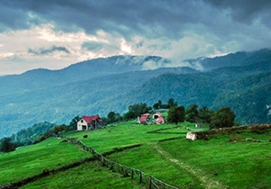 Tavush Region