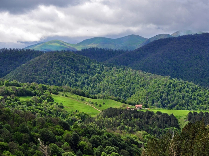 Dilijan National Park